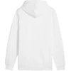 Puma Ess+ Logo LAB Gradientinis džemperis su gobtuvu FL M 681775 02
