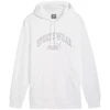 Puma Ess+ Logo LAB Gradientinis džemperis su gobtuvu FL M 681775 02