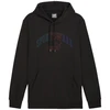 Puma Ess+ Logo LAB Gradientinis džemperis su gobtuvu FL M 681775 01