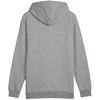 Puma Ess+ Logo LAB Gradientinis džemperis su gobtuvu FL M 681775 03