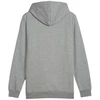 Puma Ess+ Logo LAB Gradientinis džemperis su gobtuvu FL M 681775 03