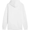 Puma Ess+ Logo LAB Gradientinis džemperis su gobtuvu FL M 681775 02