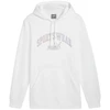 Puma Ess+ Logo LAB Gradientinis džemperis su gobtuvu FL M 681775 02