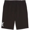 Puma ESS+ Logo Lab grafiniai šortai 10 M 678989 01
