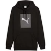 Puma Ess Logo Lab Hoodie FL M 684669 01 džemperis