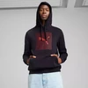 Puma Ess Logo Lab Hoodie FL M 684669 16