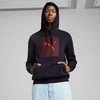 Puma Ess Logo Lab Hoodie FL M 684669 16