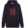 Puma Ess Logo Lab Hoodie FL M 684669 16