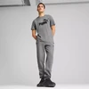 Puma Ess No. 1 Logotipas Marškinėliai M 682532 03