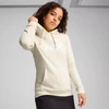 Puma ESS No. 1 Logotipo Hoodie W 682391 87