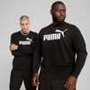 Puma ESS No.1 Logo Crew TR M sportinis megztinis 682560 01