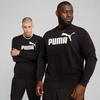 Puma ESS No.1 Logo Crew TR M sportinis megztinis 682560 01