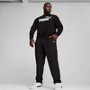 Puma ESS No.1 Logo Crew TR M sportinis megztinis 682560 01