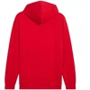 Puma ESS No.1 Logo Hoodie FL M 682570 11