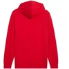 Puma ESS No.1 Logo Hoodie FL M 682570 11