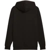 Puma ESS No.1 Logo Hoodie TR M 682572 01