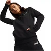 Puma ESS+ Siuvinėjimo Hoodis FL W 670004 01