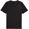 Puma Ess Small Logo Tee M 682538 01