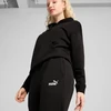 Puma ESS Small No. 1 Logo kelnės W 682448 01