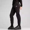 Puma ESS Small No. 1 Logo kelnės W 682448 01