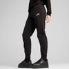 Puma ESS Small No. 1 Logo kelnės W 682448 01