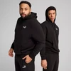 Puma ESS Small No.1 Logo Hoodie TR M 682576 01