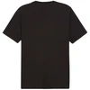 Puma Graphics Summer Sports Tee II M 627909 01