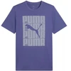 Puma Graphics Wording marškinėliai M 684825 46