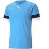 Puma komandiniai marškinėliai Team T-shirt M 704932 18