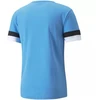 Puma komandiniai marškinėliai Team T-shirt M 704932 18
