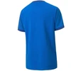 Puma komandiniai marškiniai GOAL 23 Jr 704160 02