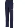 Puma Liga Jaunimo Laisvalaikio Kelnės 655635 06