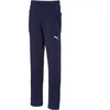 Puma Liga Jaunimo Laisvalaikio Kelnės 655635 06