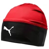 Puma LIGA Kepurė 022355-01