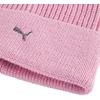 Kepurė Puma Metal Cat Beanie 024874 05
