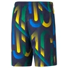 Puma Neymar Jr Future Printed Short M 605552-06