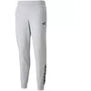 Puma Power Kelnės FL W 589546 04