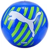 Puma Puma Katės Kamuolys 083994 06