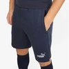 Puma šortai M 657387 06