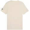 Puma Sport Graphic Tee M 684617 87