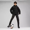 Puma Team Additions Vaikams su pamušalu striukė su gobtuvu Juoda 659738 03