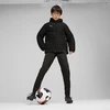 Puma Team Additions Vaikams su pamušalu striukė su gobtuvu Juoda 659738 03