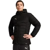 Puma Team Additions Vyriškis su gobtuvu dygsniuota striukė Juoda 659795 03
