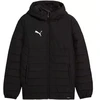 Puma Team Additions Vyriškis su gobtuvu dygsniuota striukė Juoda 659795 03