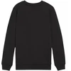 Puma Team Goal Casuals Crew Neck Sweat Jr 658593 03