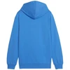 Puma Team Goal Casuals džemperis su gobtuvu jaunimui 658619 02