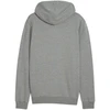 Puma Team Goal Casuals džemperis su gobtuvu M 658595 33