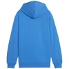 Puma Team Goal Casuals džemperis su gobtuvu jaunimui 658619 02