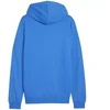 Puma Team Goal Casuals Hoodie M 658618 02