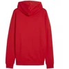 Puma Team Goal Casuals Hoody M 658618 01